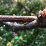 Jouw locatie als pop-up restaurant?